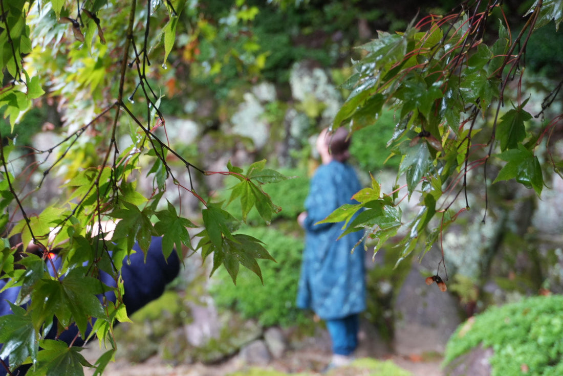 The Final Chapter of the Sashiko Japan Retreat - and hope for the future.